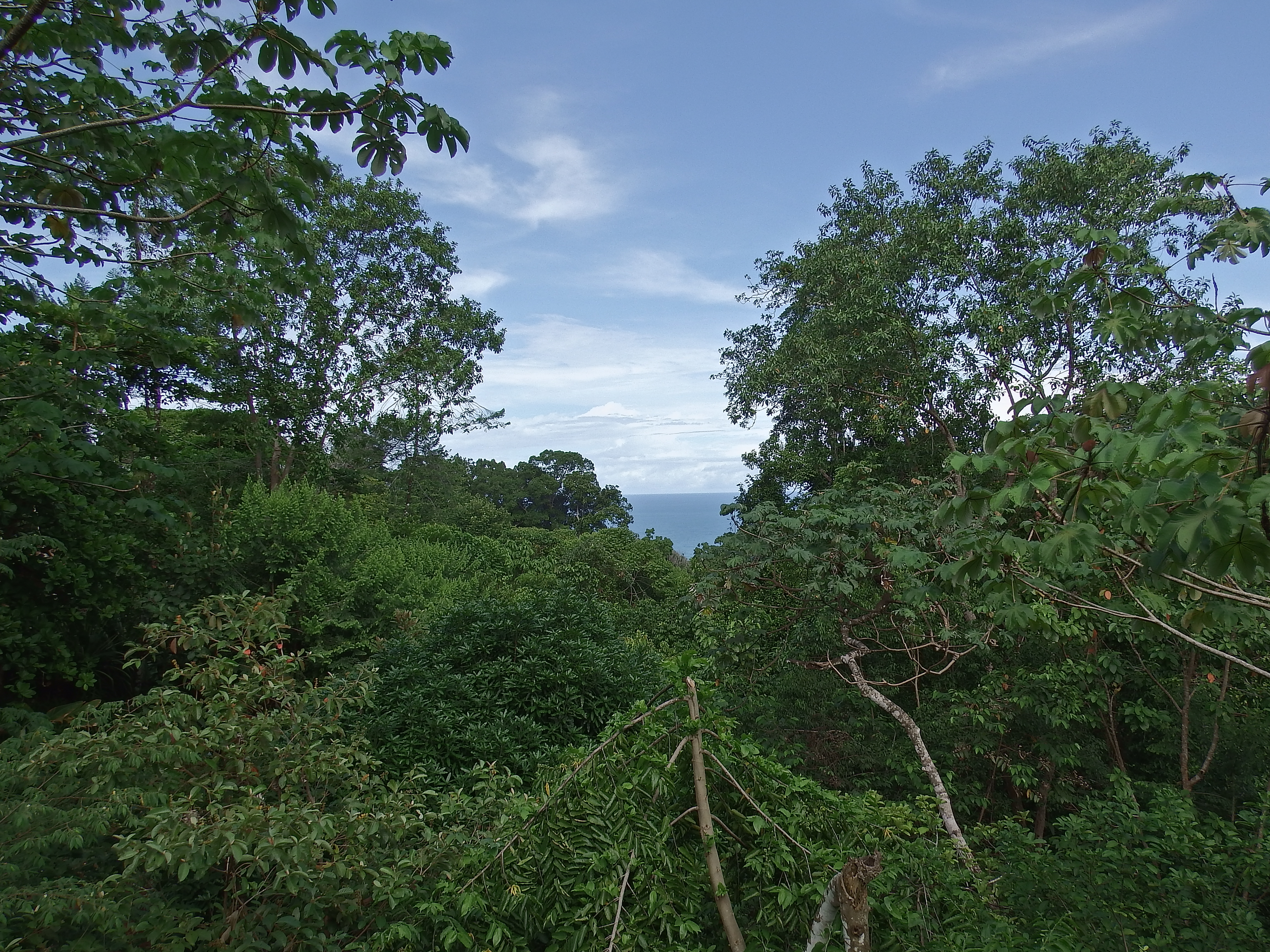 DSCF0719.JPG\n6,986.18 KB \n4608 x 3456 \n6/2/14\n