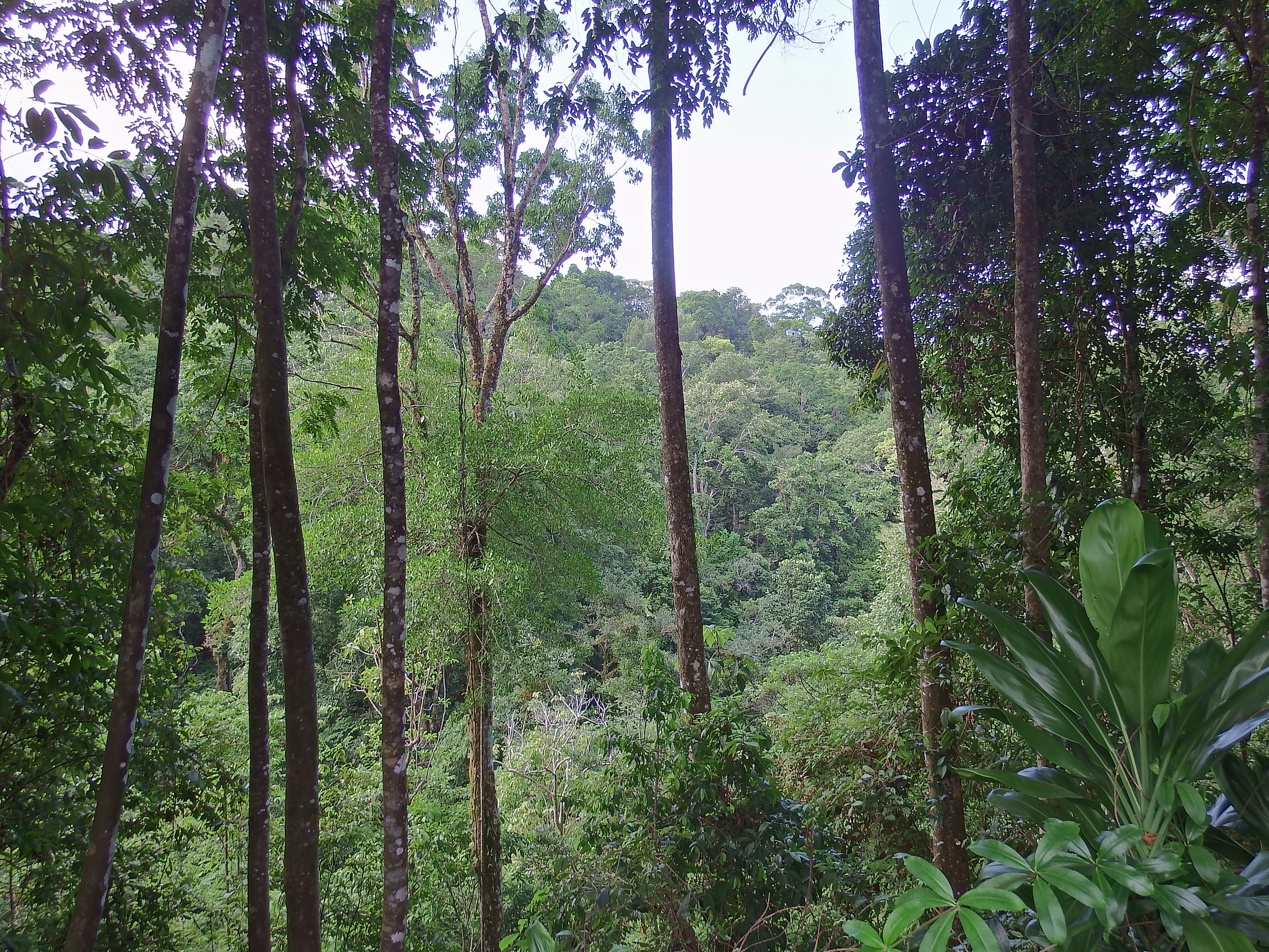 DSCF0720.JPG\n7,141.78 KB \n4608 x 3456 \n6/2/14\n