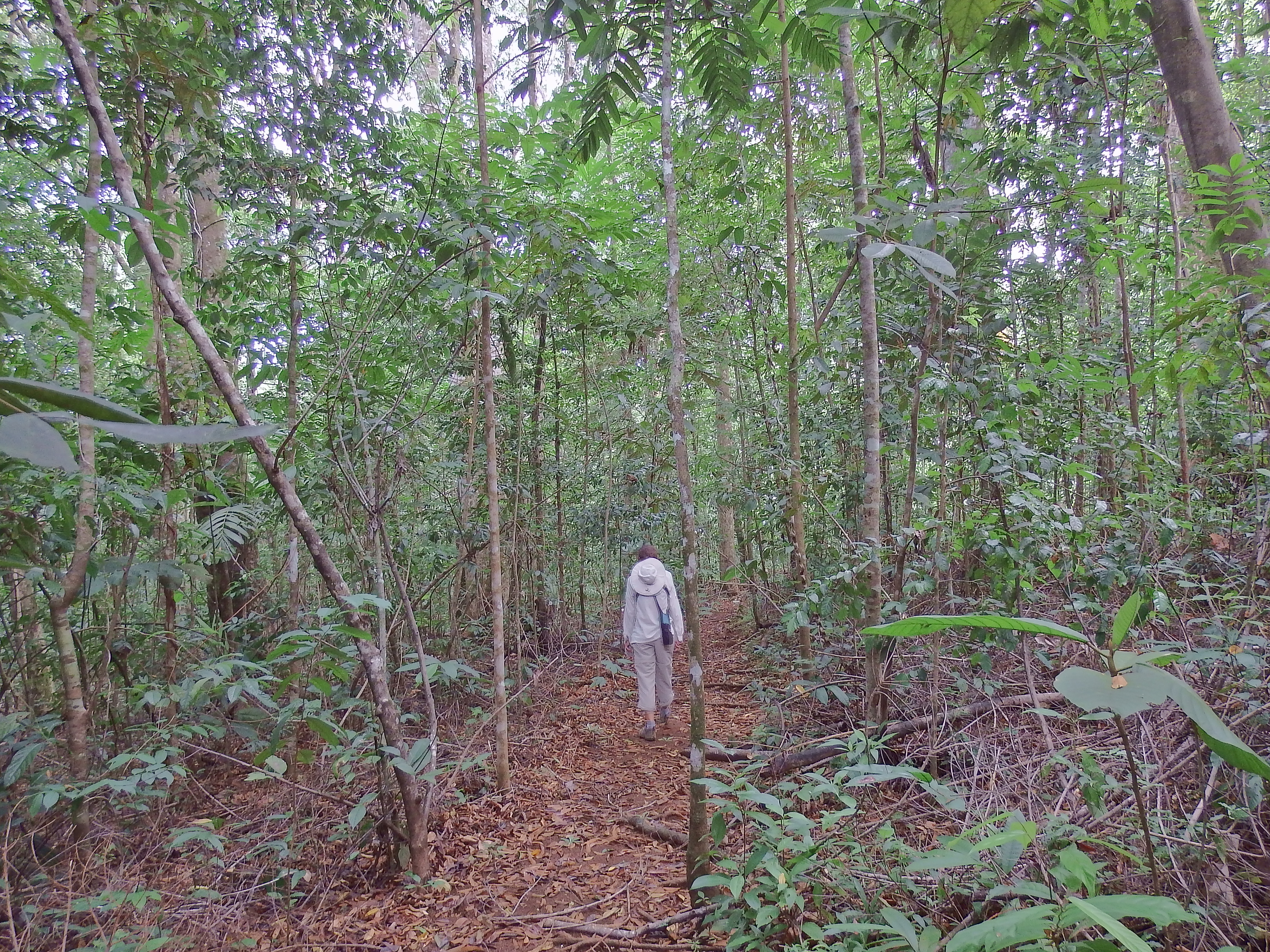 DSCF0728.JPG\n7,098.87 KB \n4608 x 3456 \n6/2/14\n