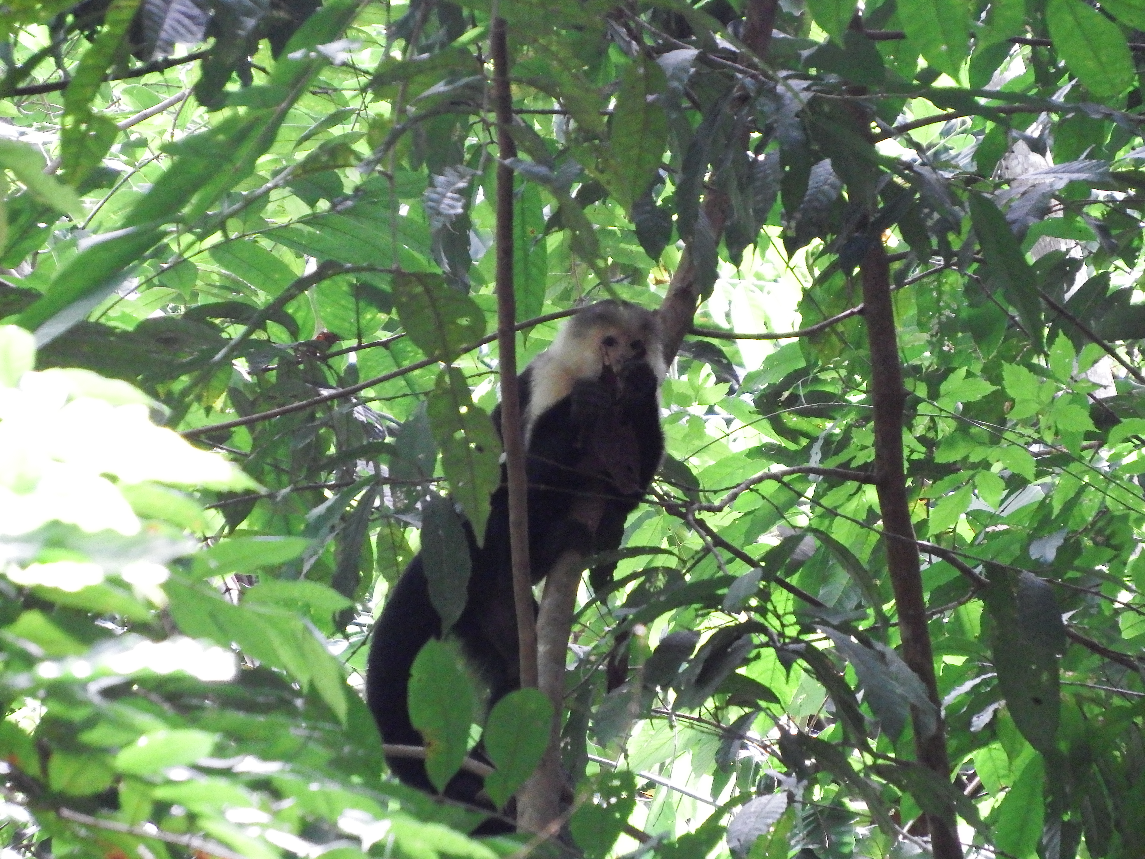 DSCF0739.JPG\n6,916.07 KB \n4608 x 3456 \n6/2/14\n