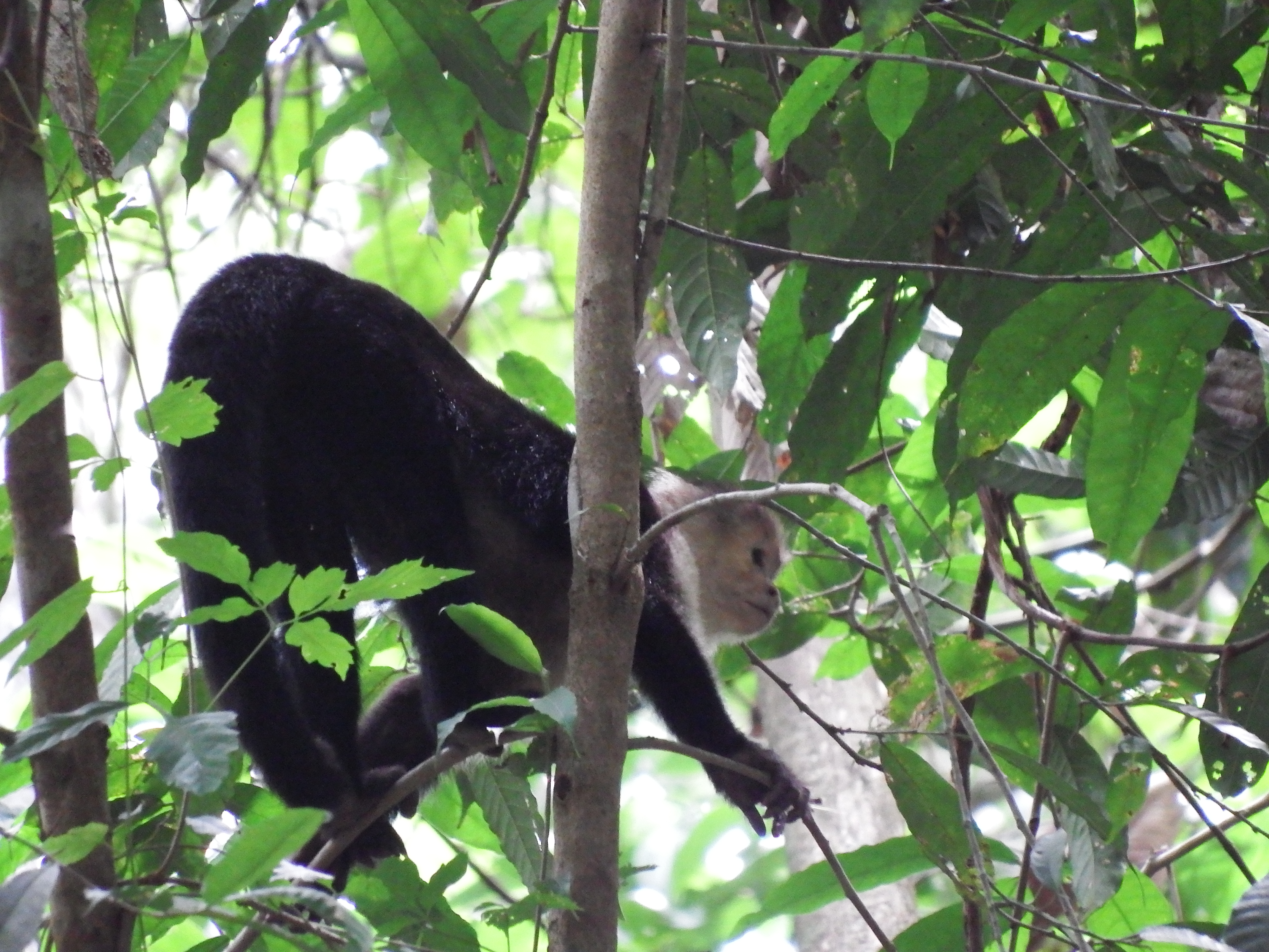 DSCF0742.JPG\n7,222.81 KB \n4608 x 3456 \n6/2/14\n