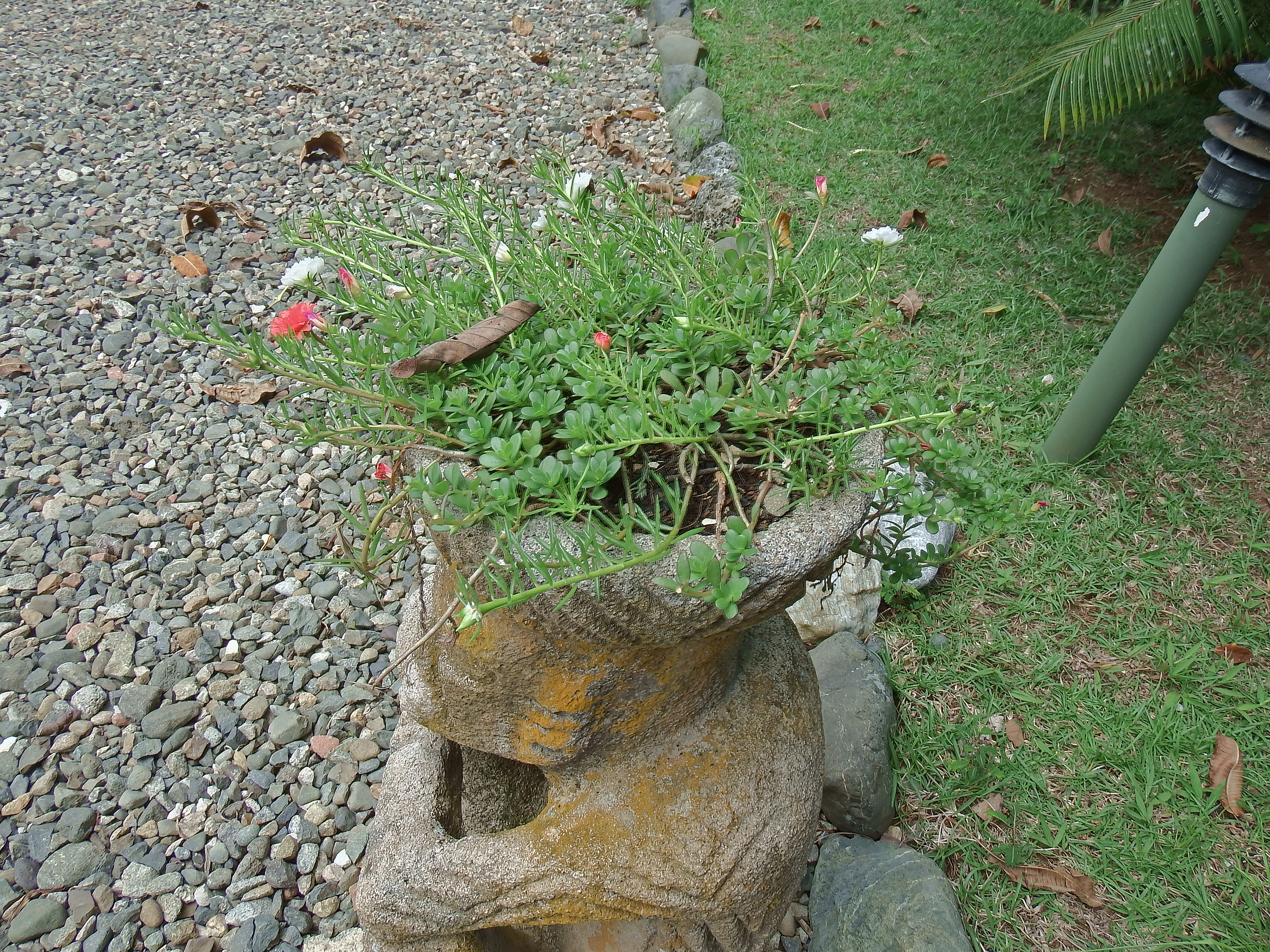 DSCF0772.JPG\n7,036.81 KB \n4608 x 3456 \n6/2/14\n