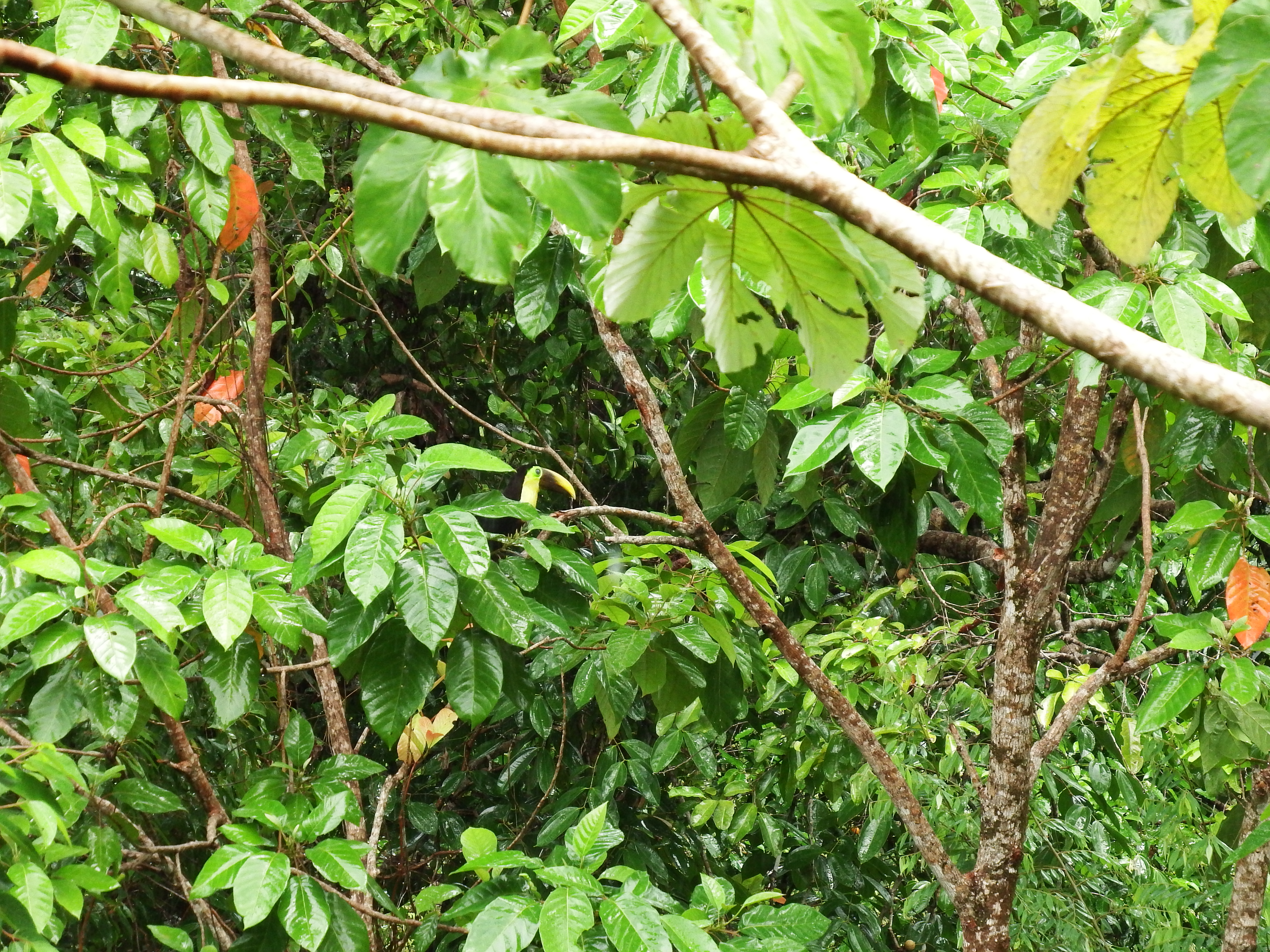 DSCF0790.JPG\n7,260.43 KB \n4608 x 3456 \n6/2/14\n