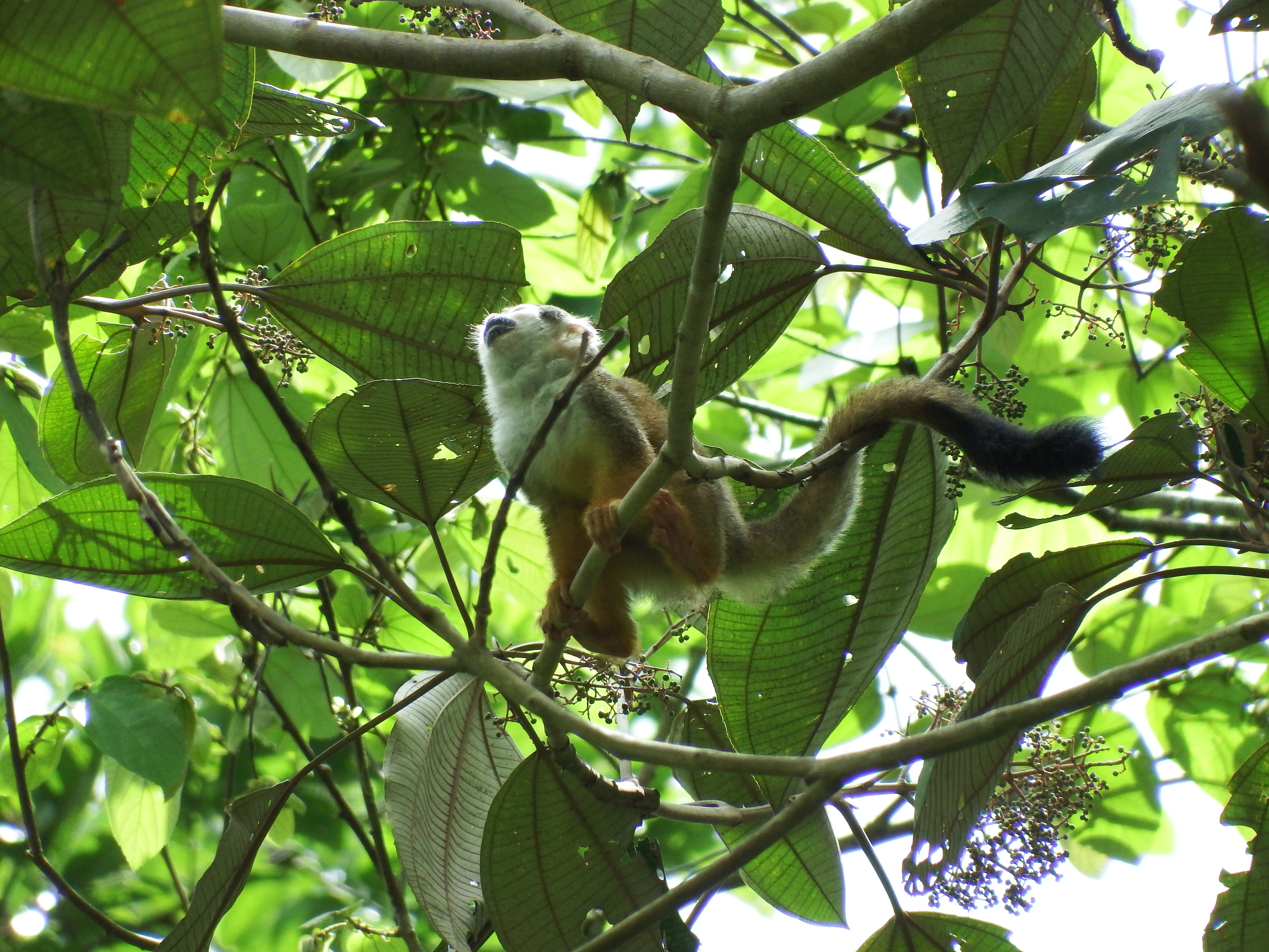 DSCF0816.JPG\n6,274.15 KB \n4608 x 3456 \n6/2/14\n