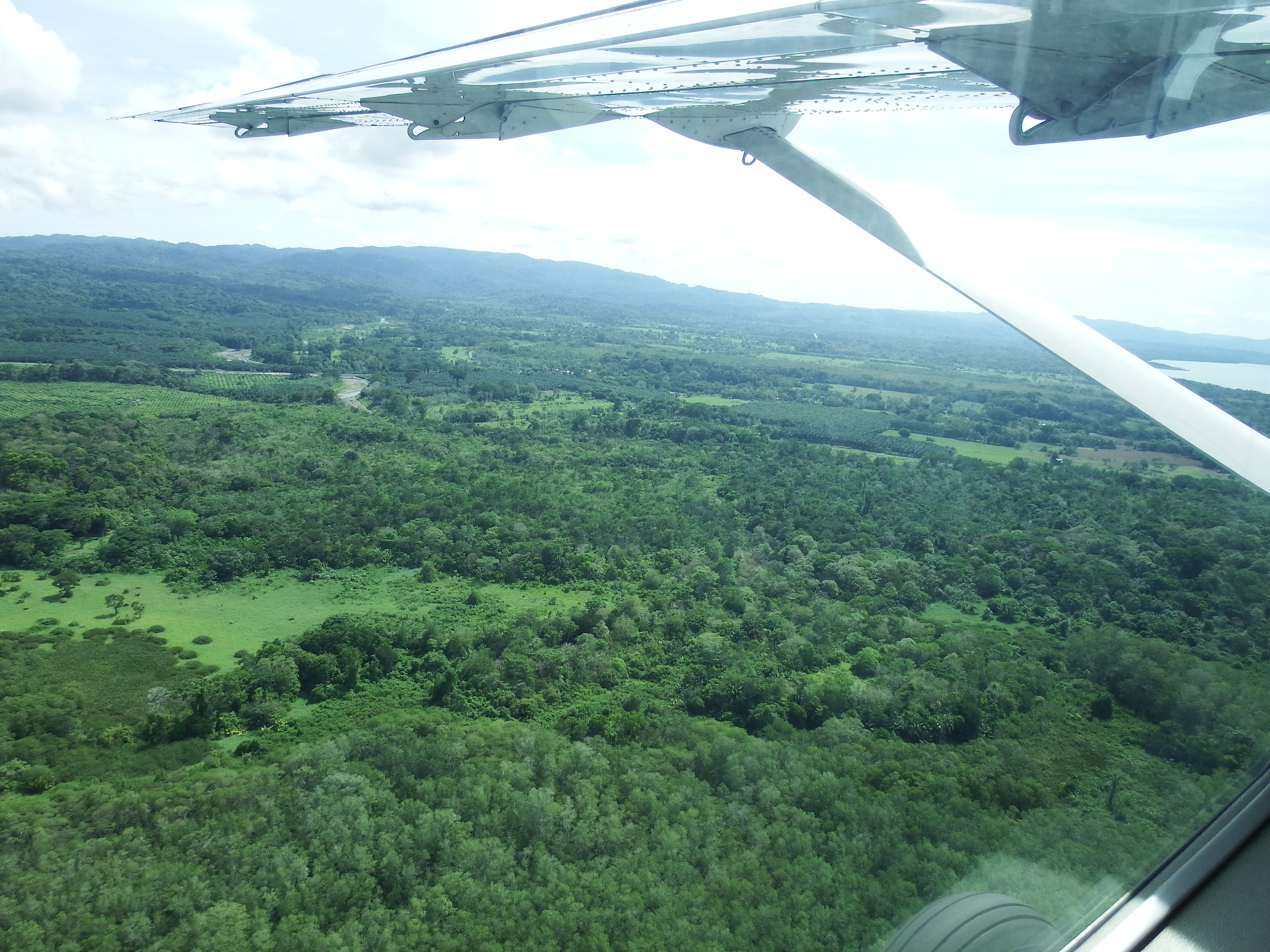 DSCF0836.JPG\n6,822.82 KB \n4608 x 3456 \n6/2/14\n