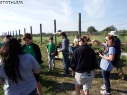 DSCF0910.JPG

6,649.33 KB 
4608 x 3456 
1/14/15