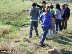 DSCF0916.JPG

6,770.96 KB 
4608 x 3456 
1/14/15