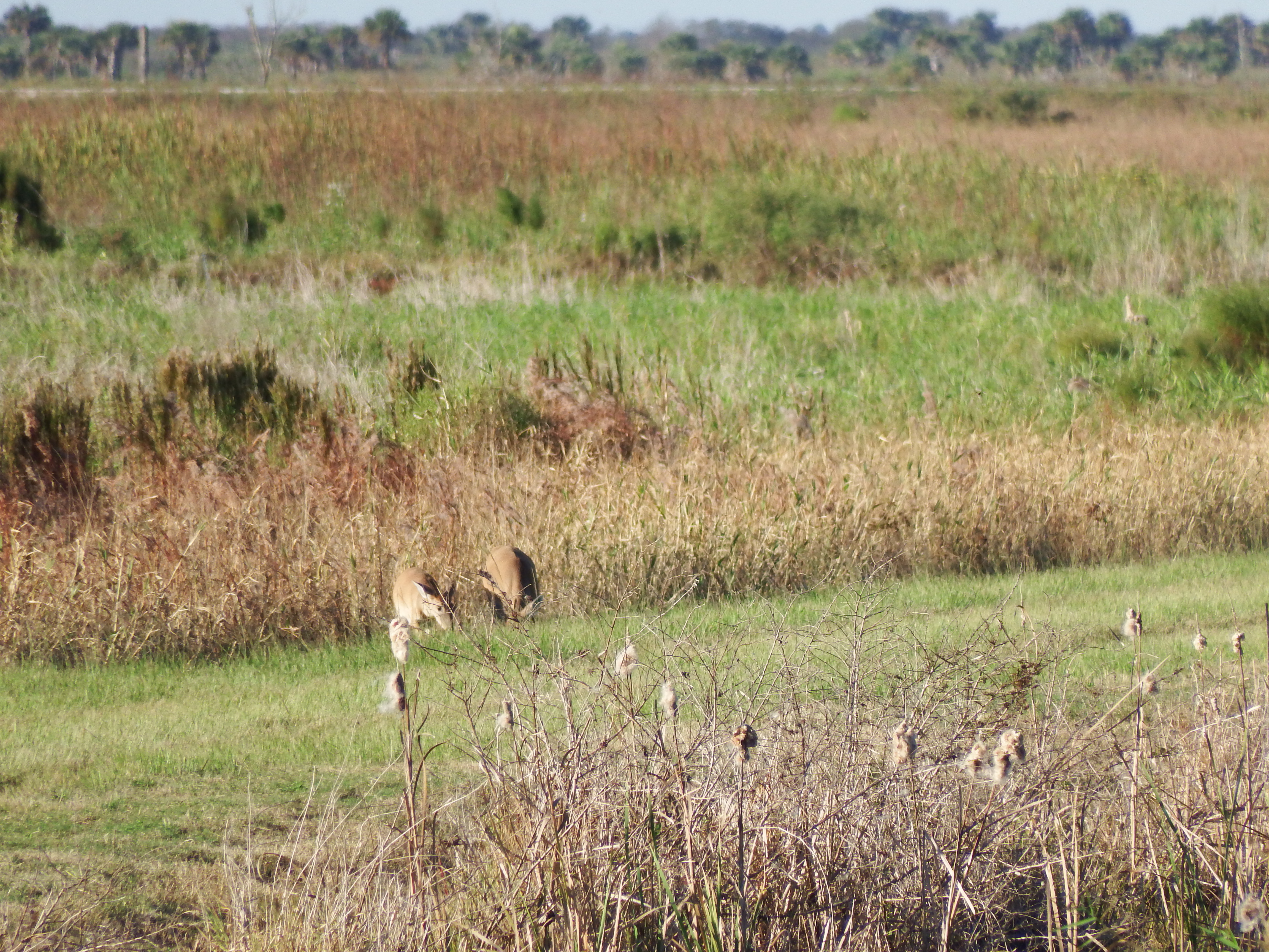 DSCF0486.JPG\n6,916.59 KB \n4608 x 3456 \n10/27/14\n