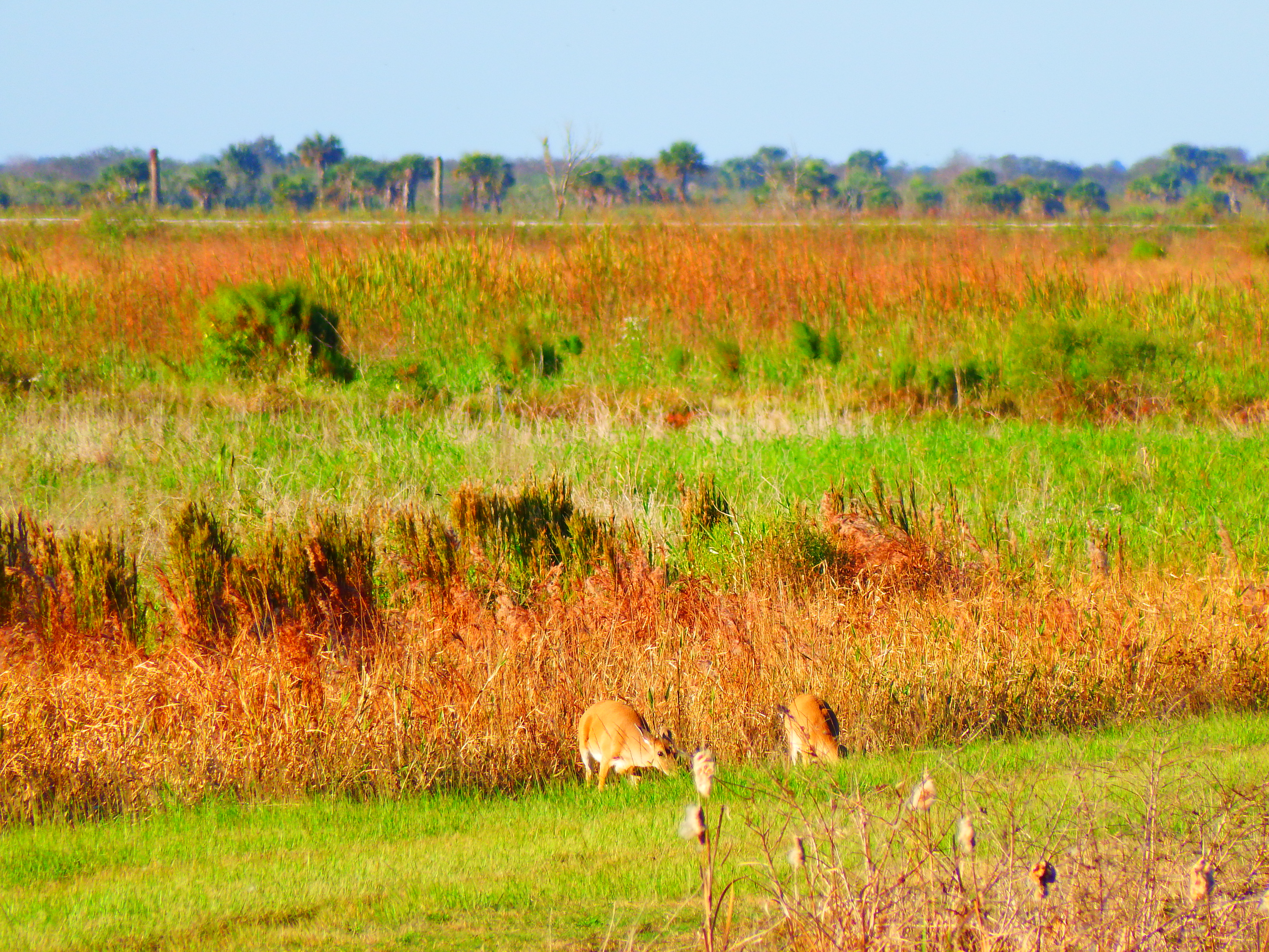 DSCF0490.JPG\n6,825.17 KB \n4608 x 3456 \n10/27/14\n