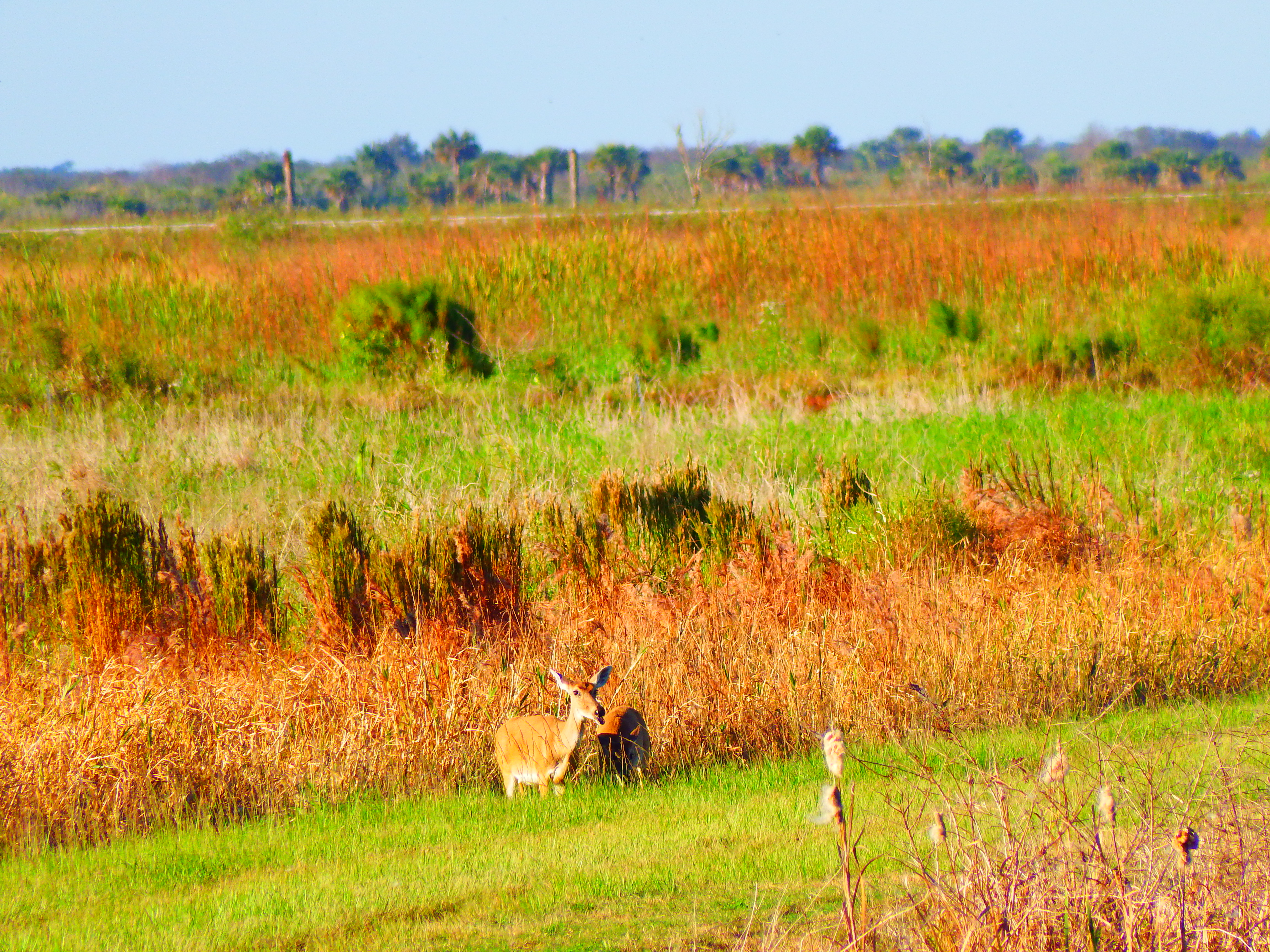 DSCF0497.JPG\n6,368.61 KB \n4608 x 3456 \n10/27/14\n