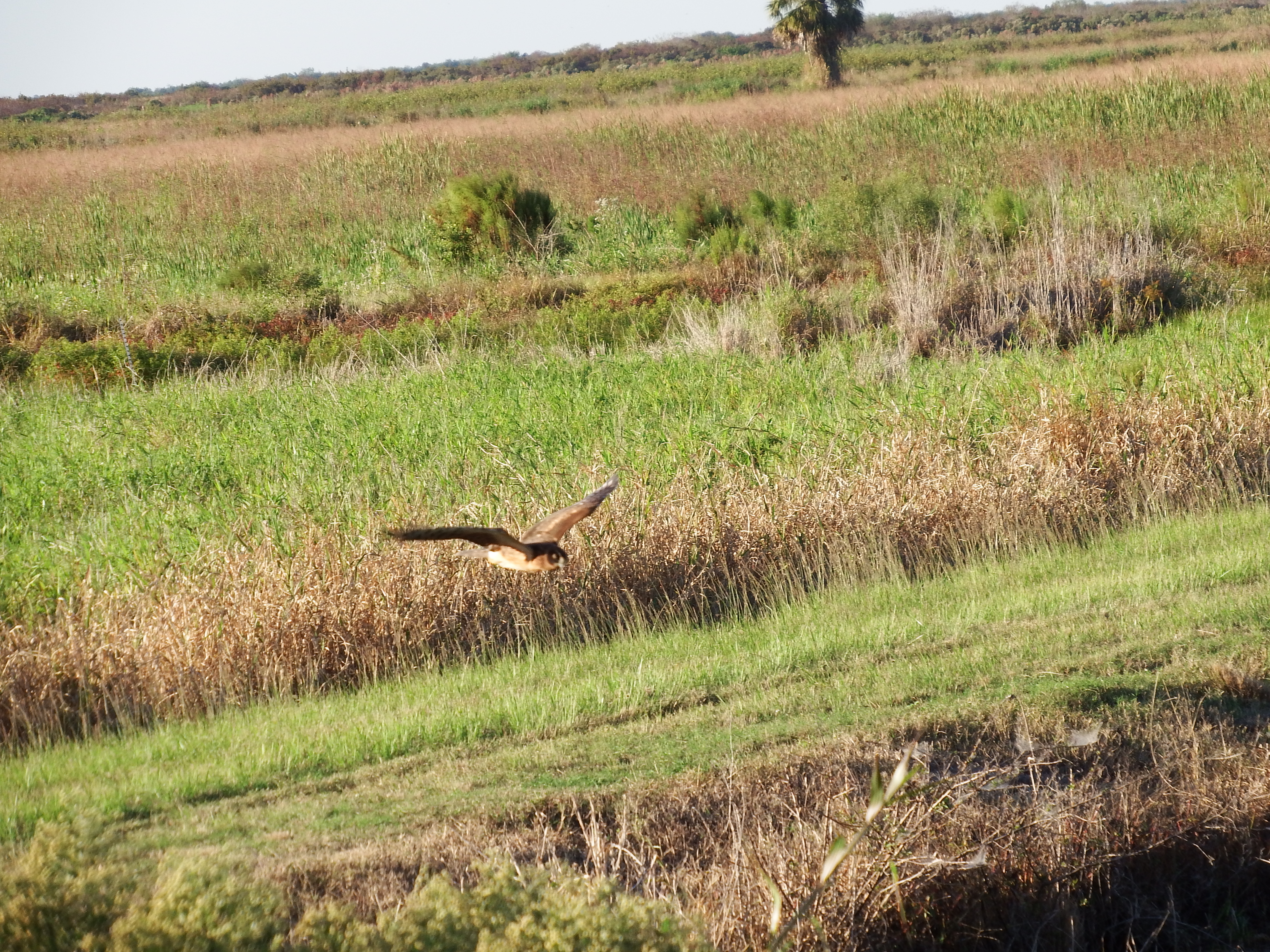 DSCF0517.JPG\n6,693.24 KB \n4608 x 3456 \n10/27/14\n