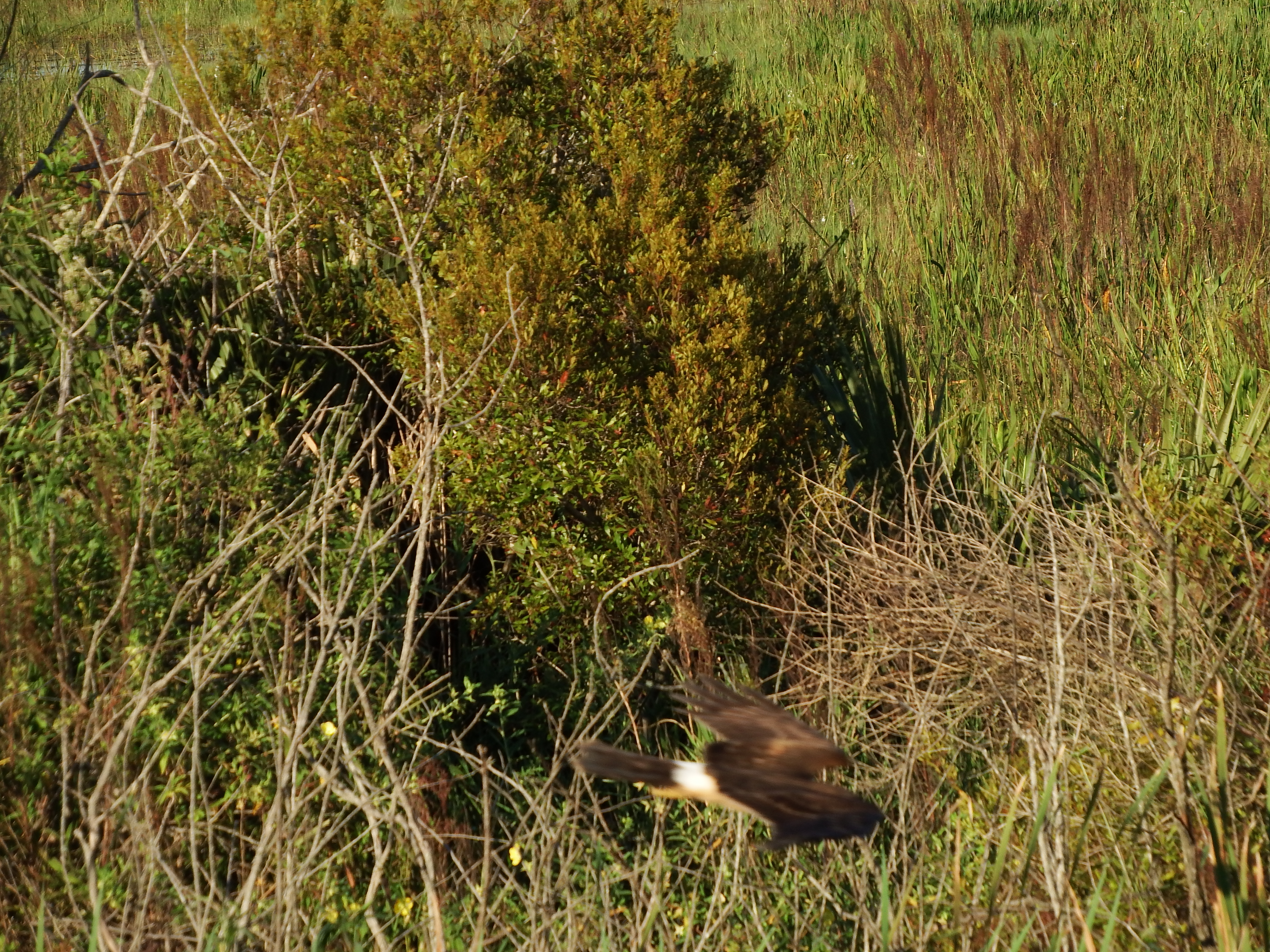 DSCF0518.JPG\n7,112.38 KB \n4608 x 3456 \n10/27/14\n