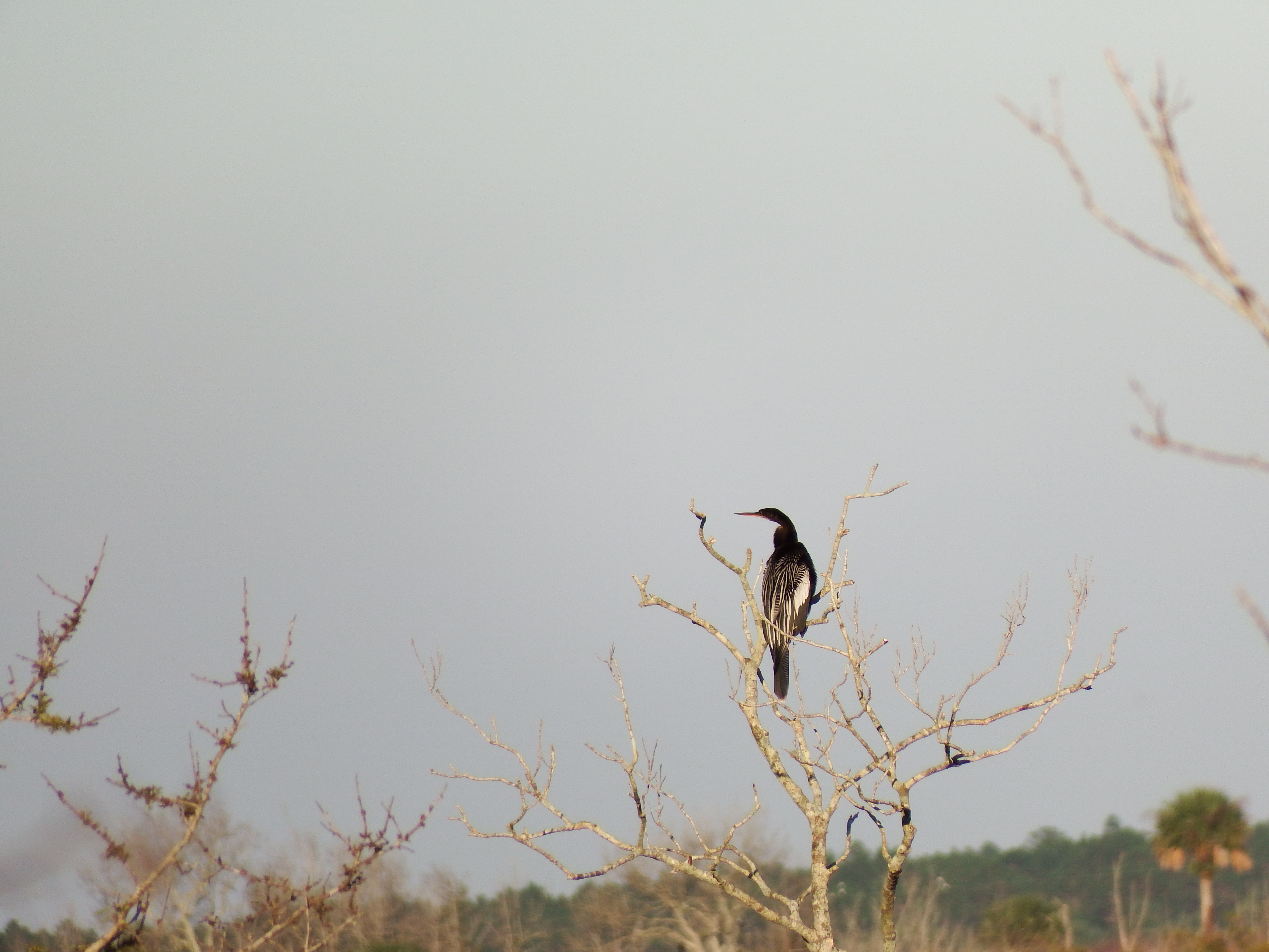 DSCF0549.JPG\n6,206.52 KB \n4608 x 3456 \n10/27/14\n