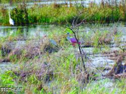 DSCF0833.JPG
7,310.13 KB
4608 x 3456
1/14/15