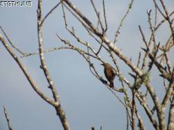 DSCF0855.JPG
7,280.97 KB
4608 x 3456
1/14/15