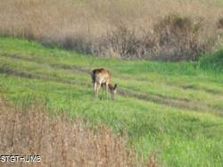 DSCF0863.JPG
6,768.89 KB
4608 x 3456
1/14/15