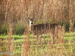 DSCF0865.JPG
7,269.63 KB
4608 x 3456
1/14/15
