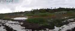 DSCF1134.JPG
2,645.98 KB
3840 x 1624
2/23/15