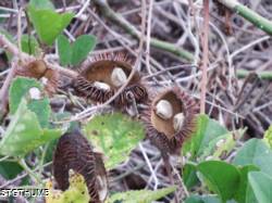 DSCF1196.JPG
6,617.54 KB
4608 x 3456
2/23/15