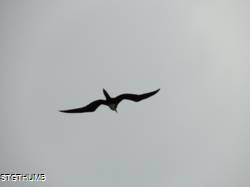 DSCF1113.JPG
5,149.29 KB
4608 x 3456
2/23/15