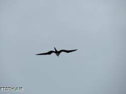 DSCF1115.JPG
5,252.69 KB
4608 x 3456
2/23/15