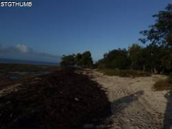 DSCF1234.JPG

6,383.78 KB 
4608 x 3456 
2/23/15