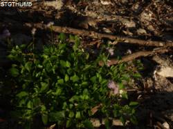 DSCF1237.JPG

6,546.66 KB 
4608 x 3456 
2/23/15
