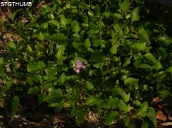 DSCF1238.JPG

5,994.42 KB 
4608 x 3456 
2/23/15