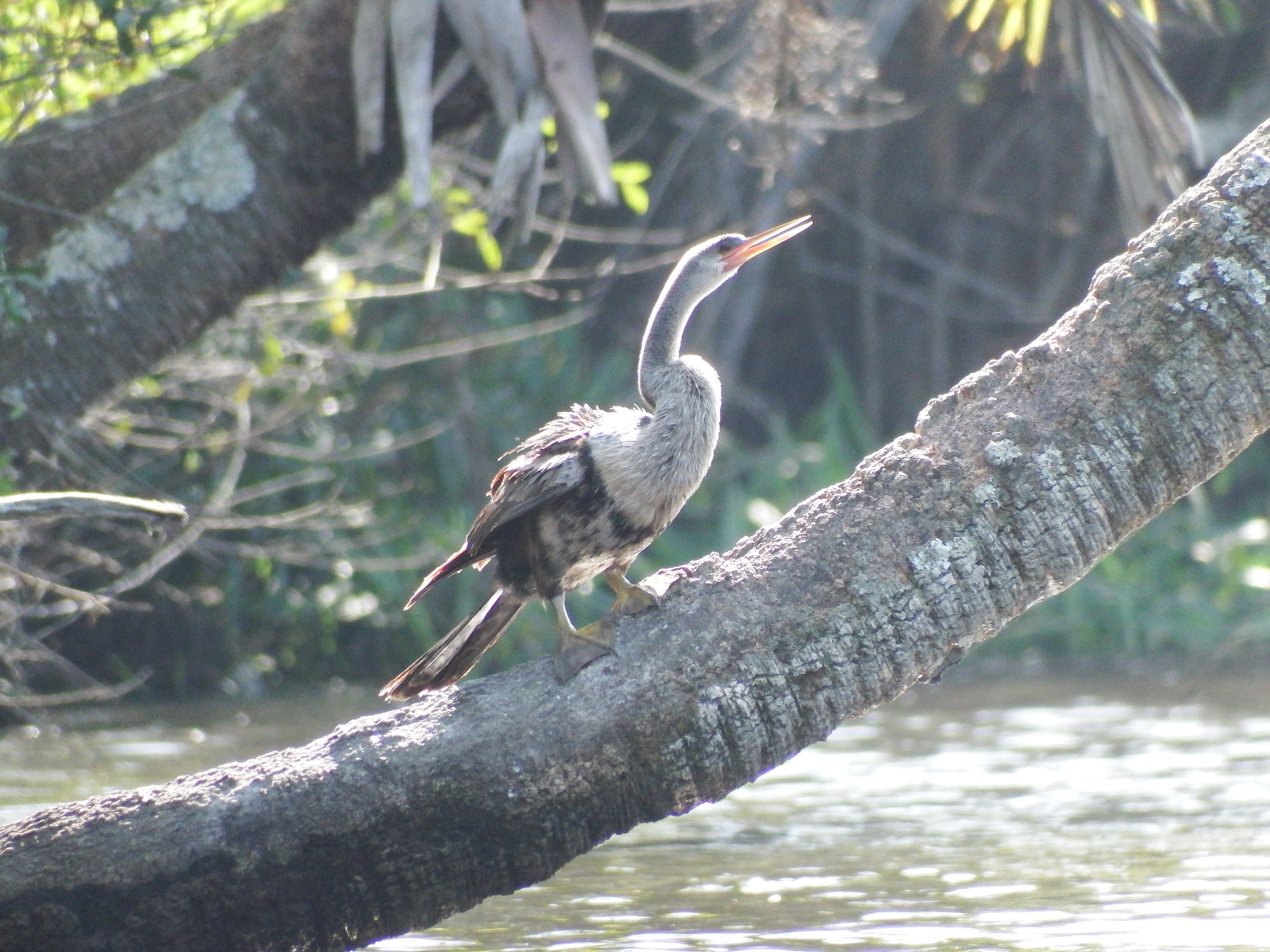 DSCF1021.JPG\n6,017.69 KB \n4608 x 3456 \n2/15/15\n