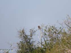DSCF1023.JPG
6,407.29 KB
4608 x 3456
2/15/15