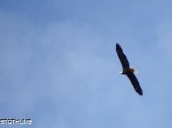 DSCF1052.JPG
6,545.17 KB
4608 x 3456
2/15/15