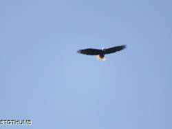 DSCF1053.JPG
5,926.91 KB
4608 x 3456
2/15/15