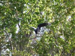 DSCF1065.JPG
6,963.61 KB
4608 x 3456
2/15/15