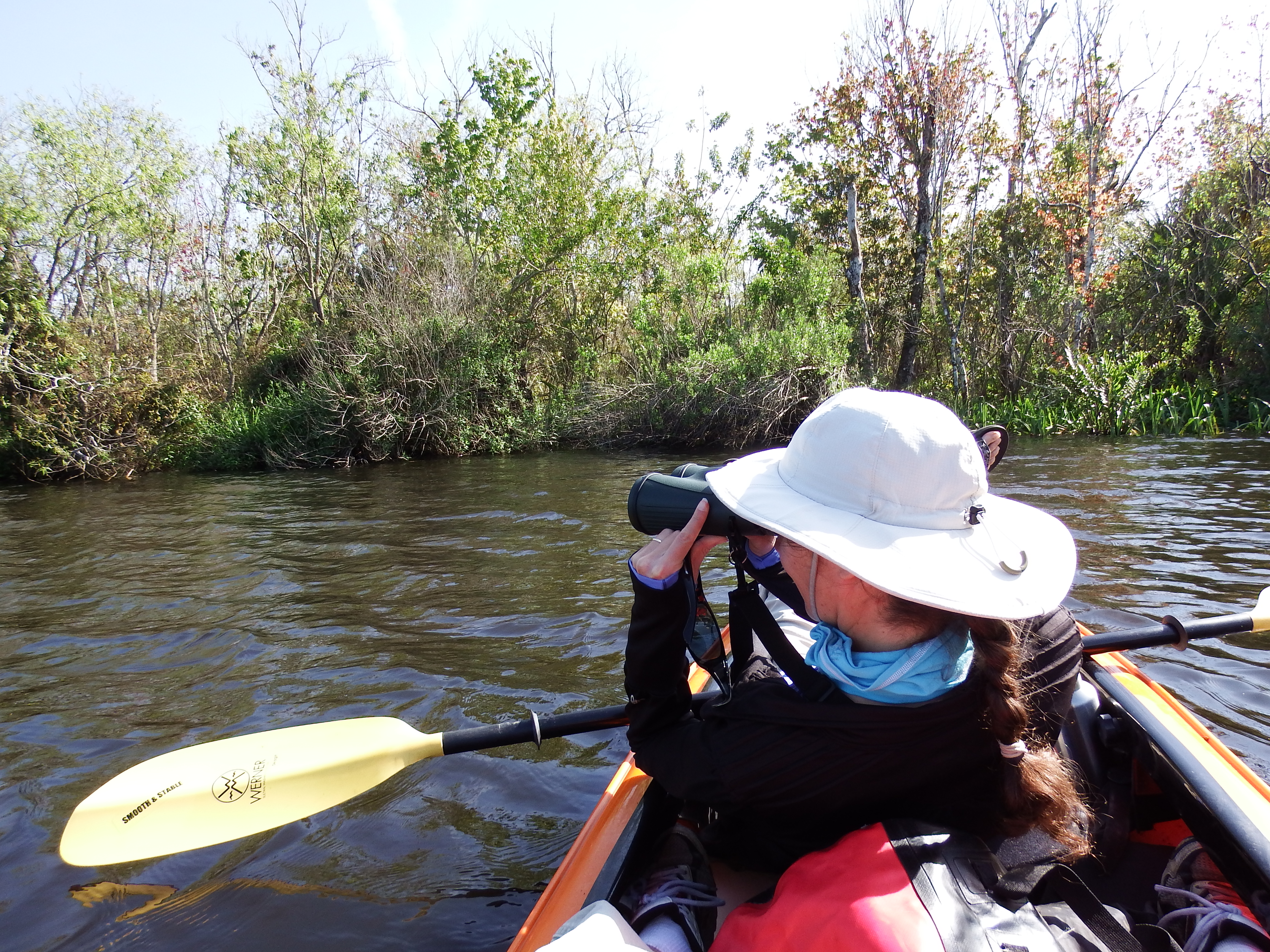 DSCF1068.JPG\n6,656.90 KB \n4608 x 3456 \n2/15/15\n