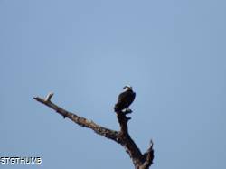 DSCF1069.JPG
5,889.76 KB
4608 x 3456
2/15/15
