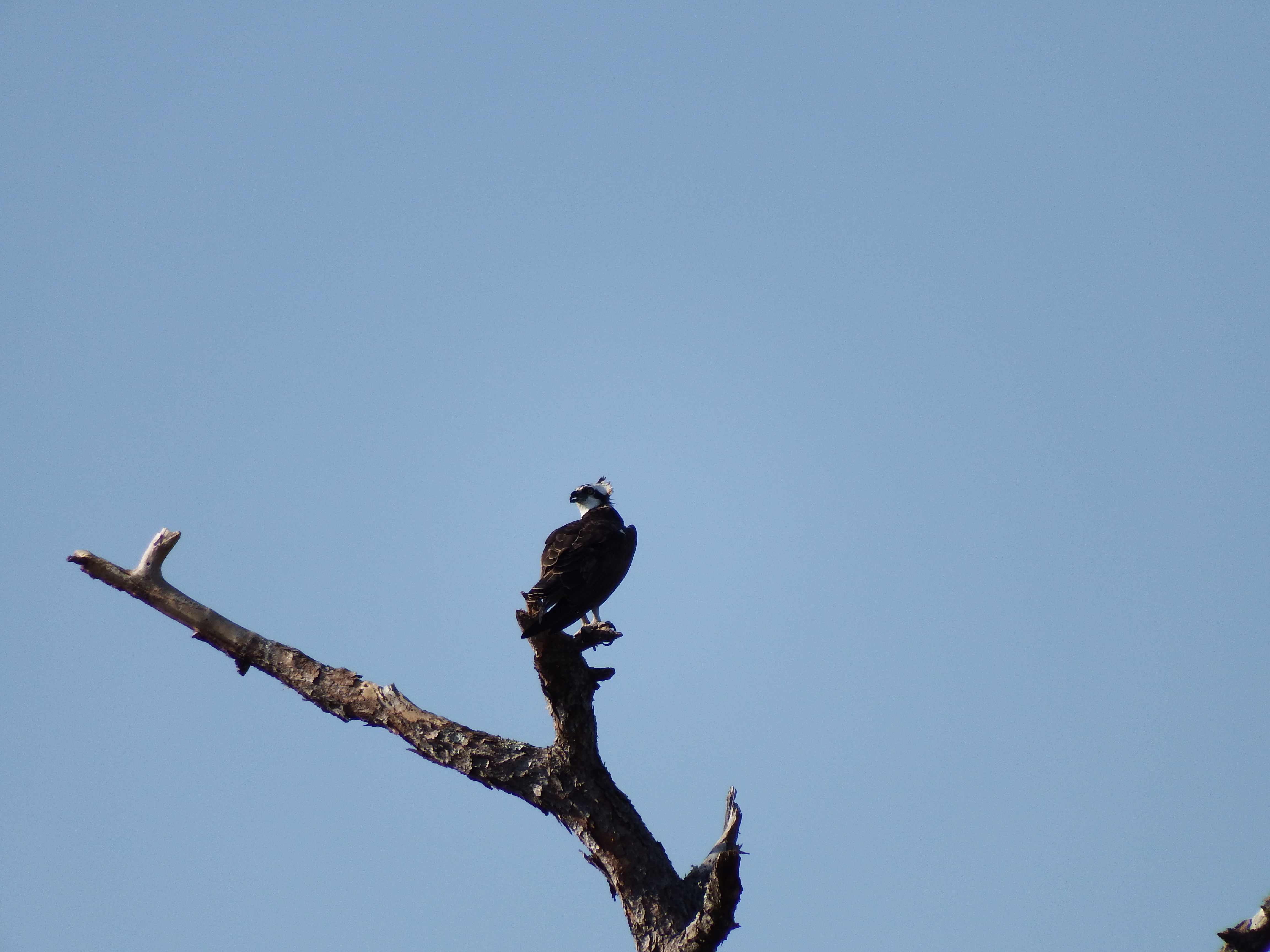 DSCF1070.JPG\n5,940.06 KB \n4608 x 3456 \n2/15/15\n