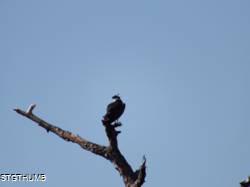 DSCF1070.JPG
5,940.06 KB
4608 x 3456
2/15/15