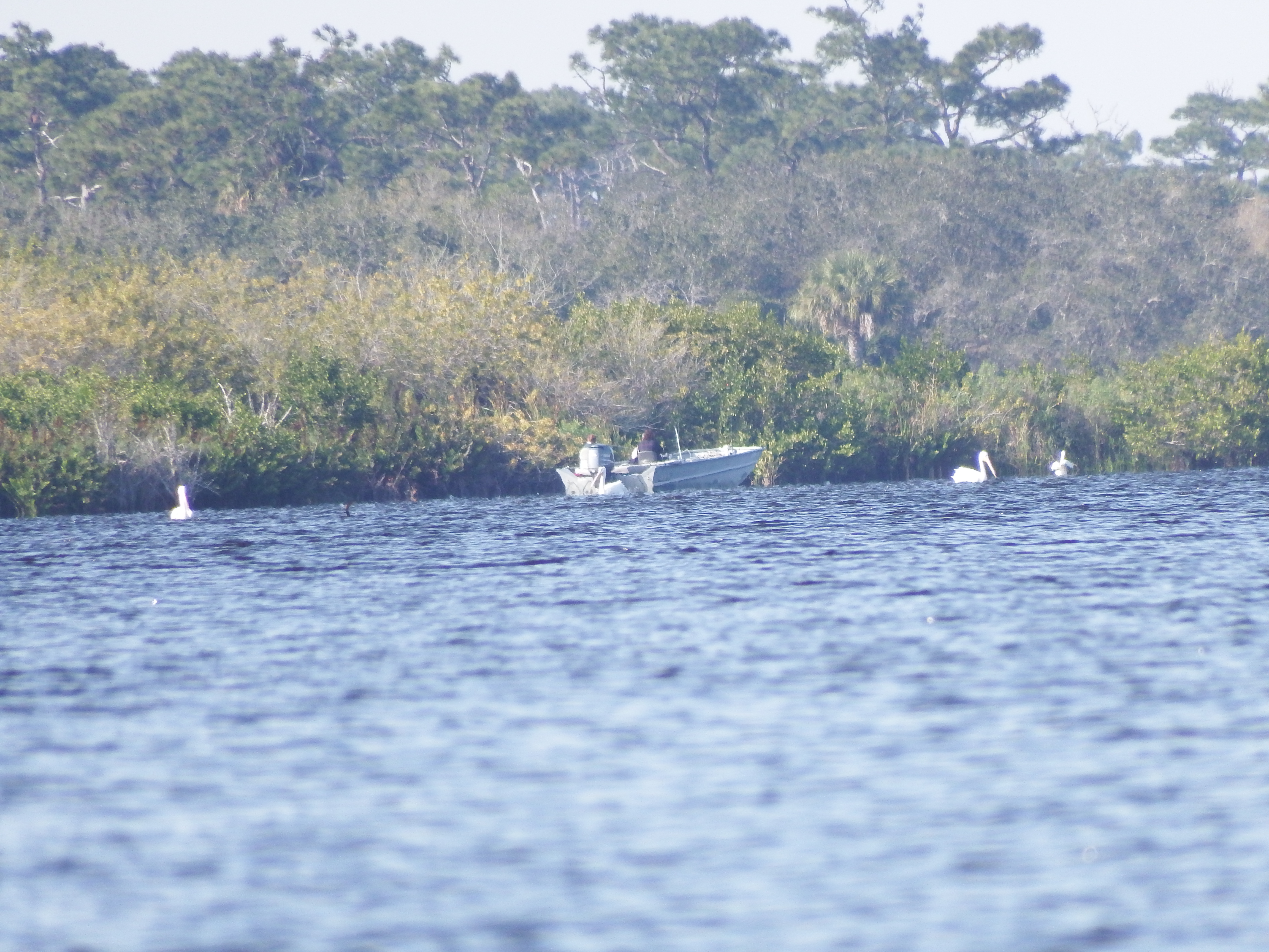 DSCF1078.JPG\n6,019.98 KB \n4608 x 3456 \n2/15/15\n