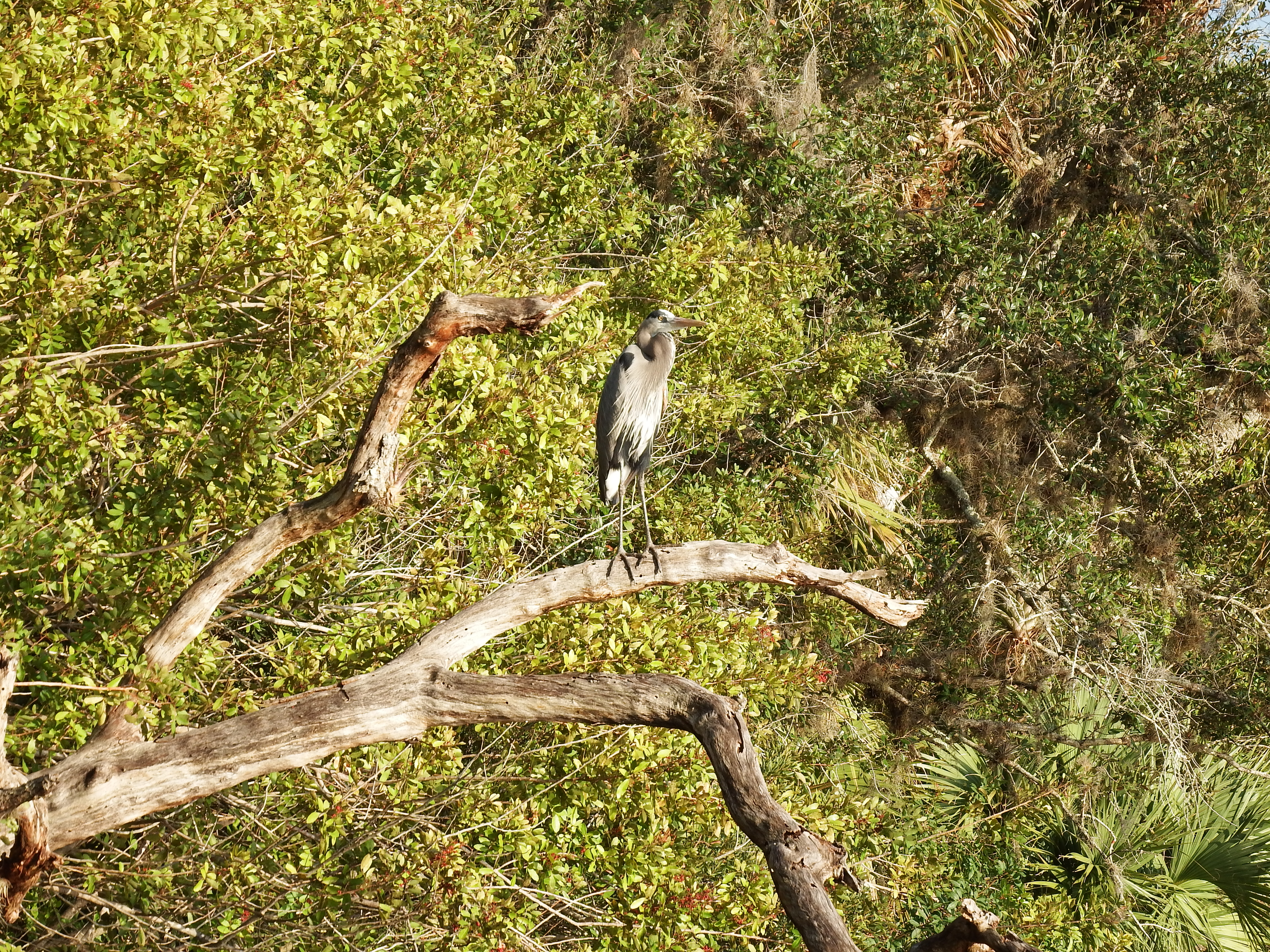 DSCF1094.JPG\n7,149.47 KB \n4608 x 3456 \n2/15/15\n