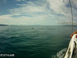 AMBA0275.JPG
DCIM\100MEDIA
953.13 KB
2048 x 1536
5/29/14