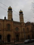 PC150044a.JPG
377.37 KB 
1200 x 1600 
1/9/2006
