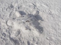 P8080089.JPG
434.66 KB
1600 x 1200
8/8/2004