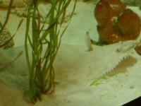P3200052.JPG
467.78 KB
1600 x 1200
3/20/2005