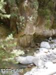 P5200057a.JPG

469.49 KB 
960 x 1280 
6/4/2009