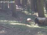 P6270378.JPG
OLYMPUS DIGITAL CAMERA
489.36 KB
1280 x 960
6/27/2010