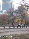 PB200120a.JPG
497.64 KB
960 x 1280
12/8/2009