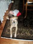 PC110032a.JPG

773.71 KB 
1200 x 1600 
2/3/2011