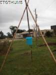PC060356a.JPG

406.70 KB 
960 x 1280 
12/9/2009