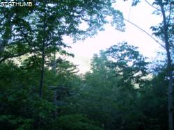 P8180279.JPG
OLYMPUS DIGITAL CAMERA
836.11 KB
1600 x 1200
8/18/2011