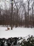 PC290074a.JPG

492.25 KB 
960 x 1280 
1/12/2010